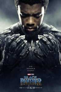 Download Black Panther (2018) Dual Audio {Hindi-English} 480p [400MB] || 720p [1.2GB] || 1080p [2.8GB]