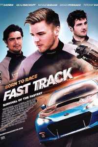 Download Born To Race Fast Track (2014) Dual Audio (Hindi-English) 720p [800MB]