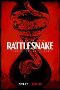 Download Netflix Rattlesnake (2019) Dual Audio {Hindi-English} 480p [300MB] || 720p [950MB]
