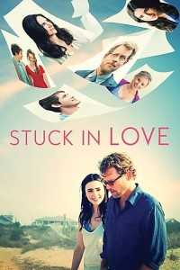 Download Stuck in Love (2012) Dual Audio (Hindi-English) 720p [800MB]