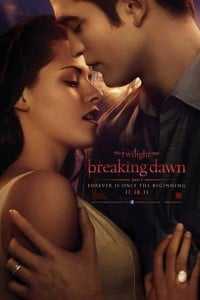 Download The Twilight Saga: Breaking Dawn – Part 1 (2011) {Hindi-English} 480p [350MB] || 720p [850MB] || 1080p [3GB]