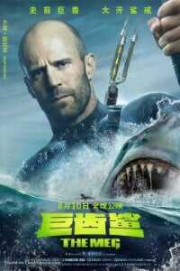 Download The Meg (2018) Dual Audio {Hindi-English} Bluray 480p [350MB] || 720p [1GB]